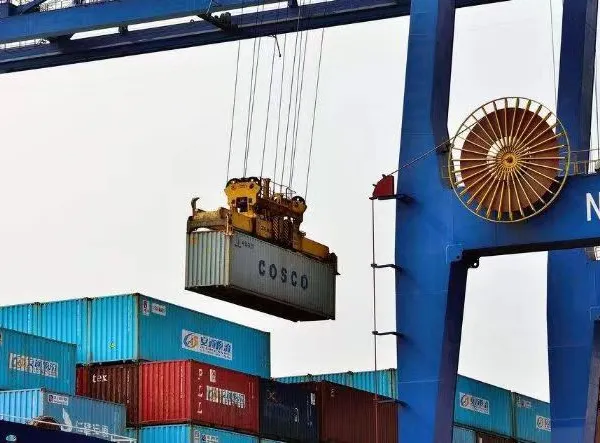 Sea/Air Freight Shipping Services From China/Fob/CIF/DDP/DDU/FCL/LCL to Philippines/Vietnam