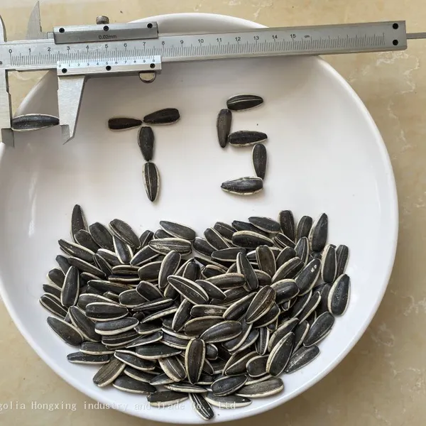 Striped Sunflower Seeds Raw in Shell Confectionery