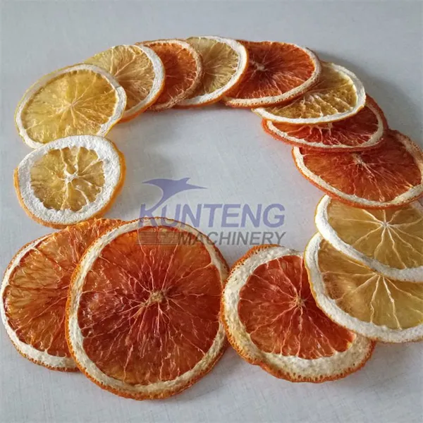 Commercial Dried Apple Chip Drying Machine Mango Pulp Dryer Machine Kiwi Fruit Dryers photo-3