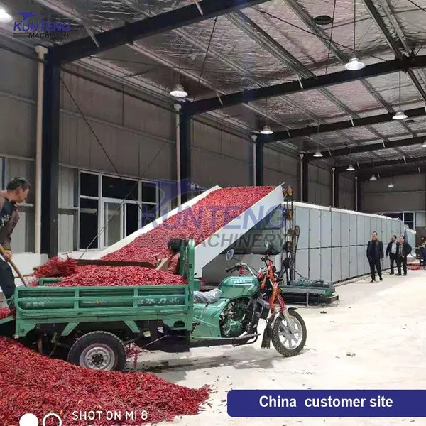 Automatic Continuous Drying Machine Peanut Chickpea Mesh Belt Drying Machine EPC photo-2