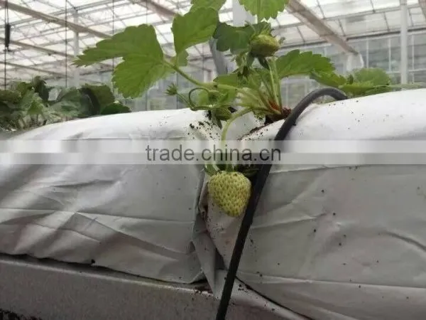 High Quality 10mm Polycarbonate Greenhouse photo-2