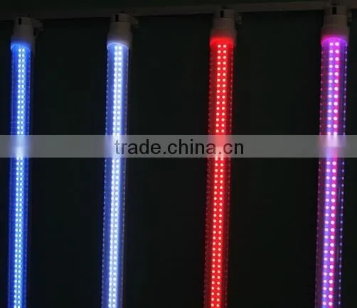 High Quality t8 Led Red Tube Shenzhen Led Factory photo-3
