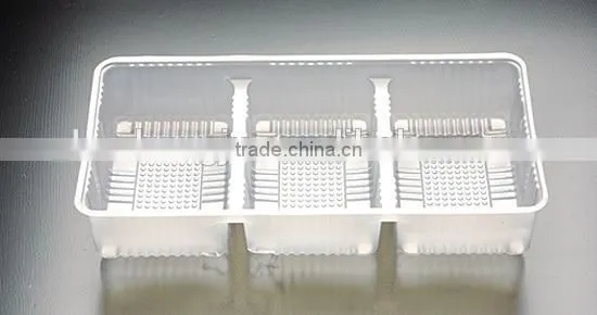 Vacuum Forming Machine for Plastic Container 2014