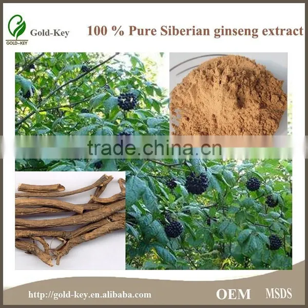 High Quality Siberian Ginseng Extract for Long Time Sex photo-4