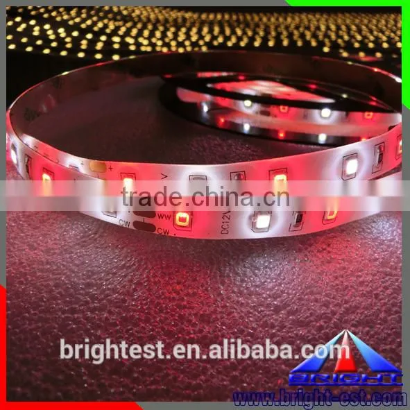 Light Pink And Purple Beads 2835 Led Strip, High Brightness SMD 2835 No Voltage Drop LED Strip photo-2