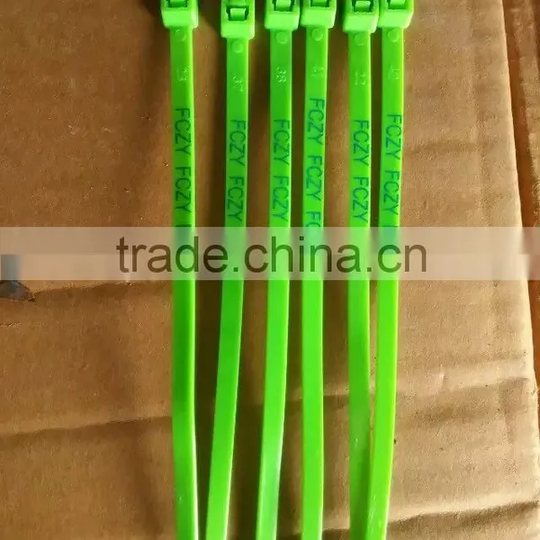 Provide the Best Quality Nylon Cable Ties/mountable Head Ties 4*200 photo-2