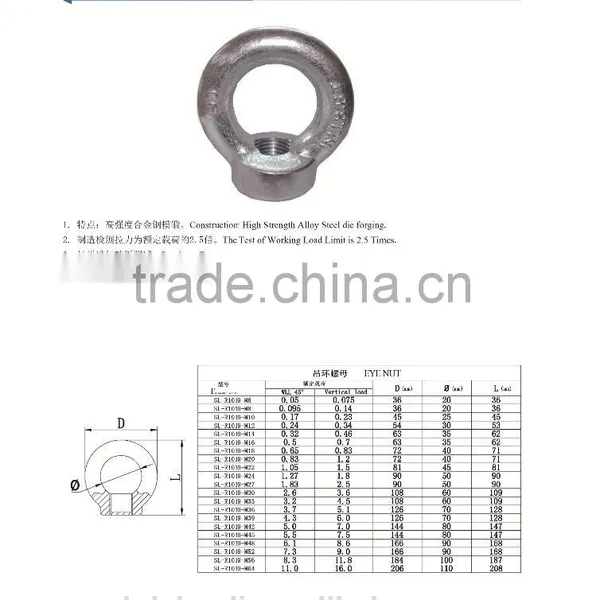 Stainless Steel Regular Dro Forged Eye Nut photo-2