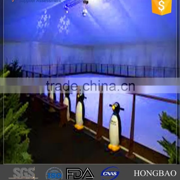 Customizable Synthetic Ice Rink,Uhmwpe Artificial Board Producer With Own Factory, Ice Skating Rinks photo-6