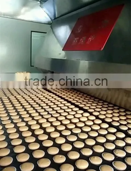 Saving Space Gas Wafer Production Line Tunnel Steam Oven Factory photo-6
