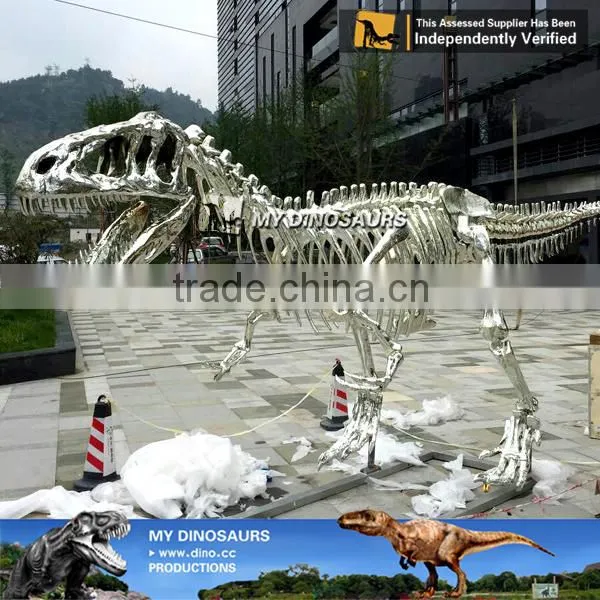 MY Dino-A12 Dinosaur Museum Exhibition Dinosaur Fossil photo-4