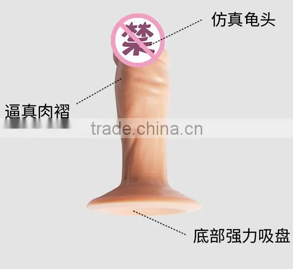 Sex Vibrator Dildo For Women Sex Artificial Penis Male Dildo photo-5