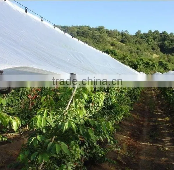 Well Plastic Poly Tarp Shelter Sheet photo-2