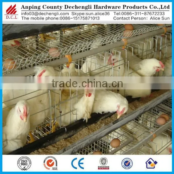 Chicken Battery Cages