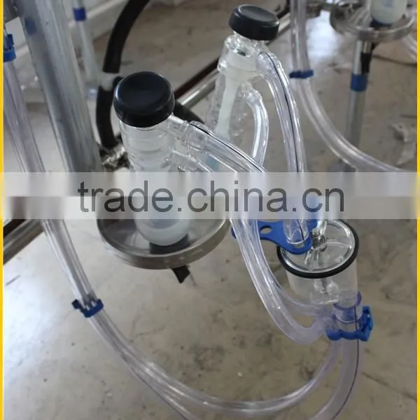 Milking Sheep Parlor in Dairy Farm photo-3