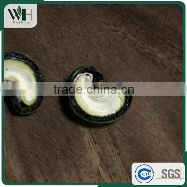Grade A Southeast Asia Cashew Kernel in Shell photo-2