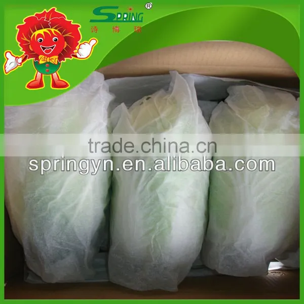 Chinese Cabbage Fresh Green-yellow Cabbage photo-4