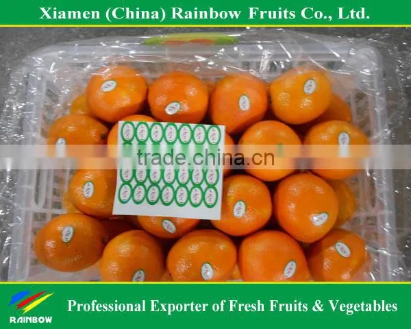 Fresh Mandarin Orange Navel Orange photo-6