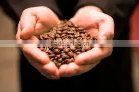 VIETNAM ROBUSTA COFFEE BEANS SCREEN 16 ORIGINAL photo-5