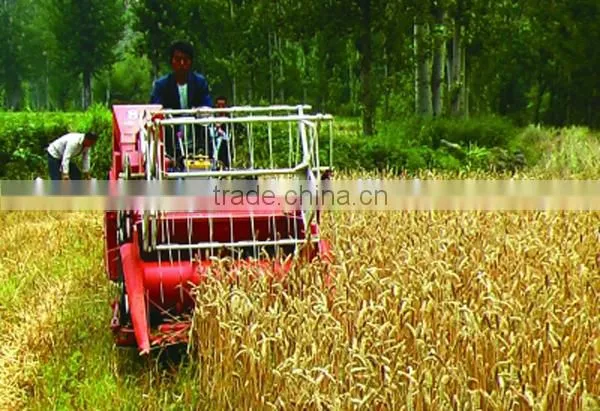 Agriculture Combine Harvester for Sale in Pakistan China Supplier photo-4