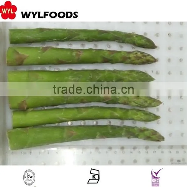 IQF Best Price Frozen Green Asparagus Cut and Tips 2015 photo-5