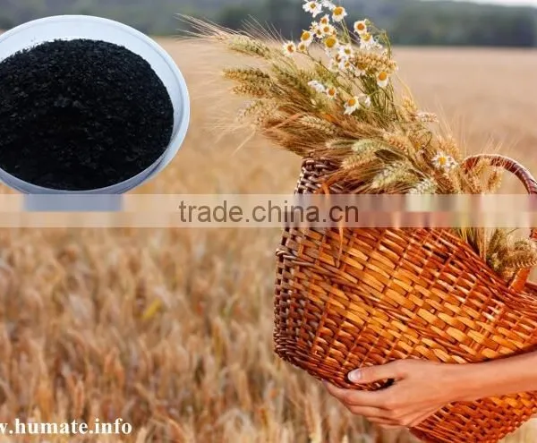 Wholesale Seaweed Extract Flake / Powder, Sargassum Seaweed Organic Fertilizer photo-2