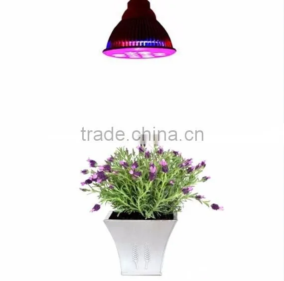 Wholesale 12W E27 Led Grow Light Bulb for Garden in Multiple Color Ratio