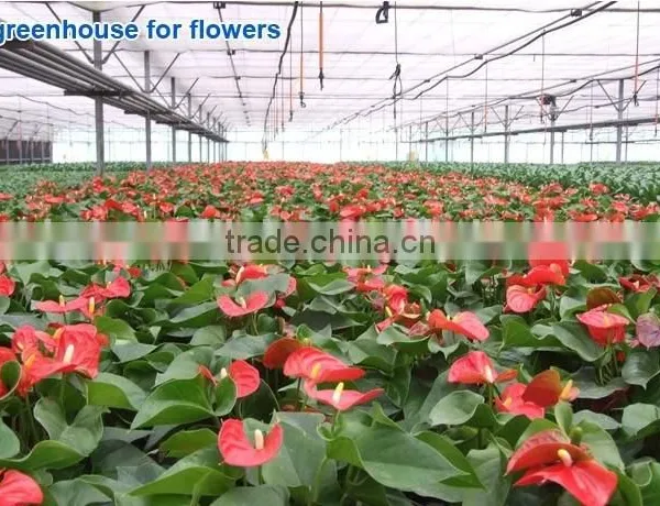 600w Double Chips LED Grow Light Full Specturm for Greenhouse and Indoor Plant Flowering Growing (5w Leds) photo-6
