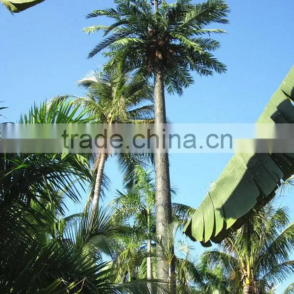 Artificial 20m Communication Station Tree Microwave Communication Tower Shape As True Tree photo-3