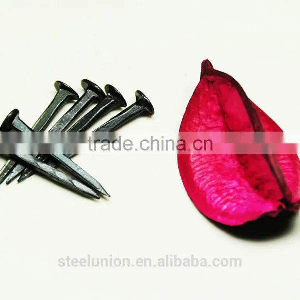 Shoe Tack Nails/blue Nail /shoe Nail/nails Blue Shoe photo-6