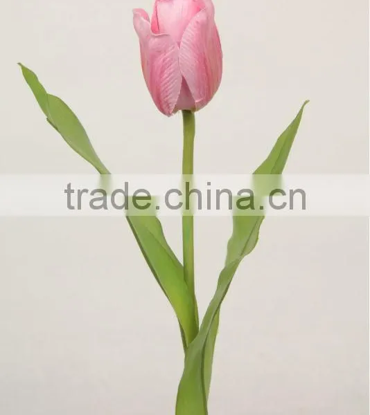 Wedding Supplies Peach Tulip 27702S