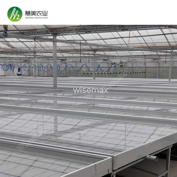 Rolling Wire Greenhouse Bench Grow Tray Ebb and Flow Hydroponic Systems photo-2