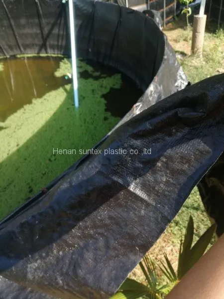 20 Years Usage Life HDPE Reinforced Pond Liner,any Size Can be Customized Fish Farming Liner,UV Treated Waterproof Membrane photo-5
