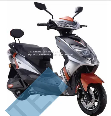 Two-wheeled motorcycle DX11