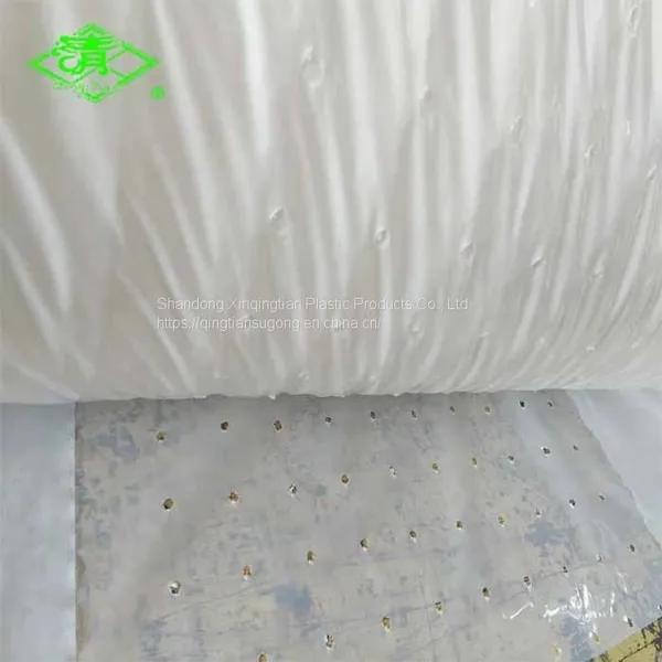 PE Agricultural Mulch Film With Micro Holes photo-2