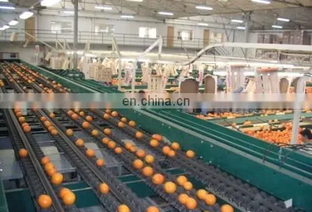 Industrial Cold Press Juicer/apple Juice Belt Press photo-4