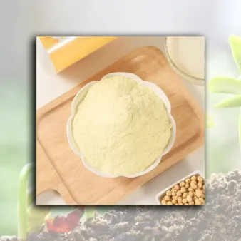Soybean Milk Powder