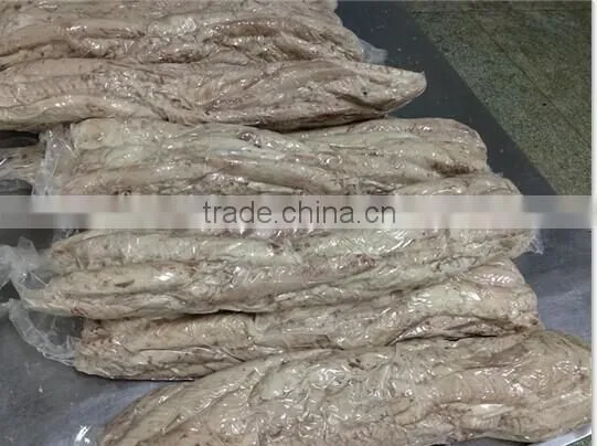 Frozen Precooked Vacuum Packing Bonito Lion and Auxis Thazard photo-4