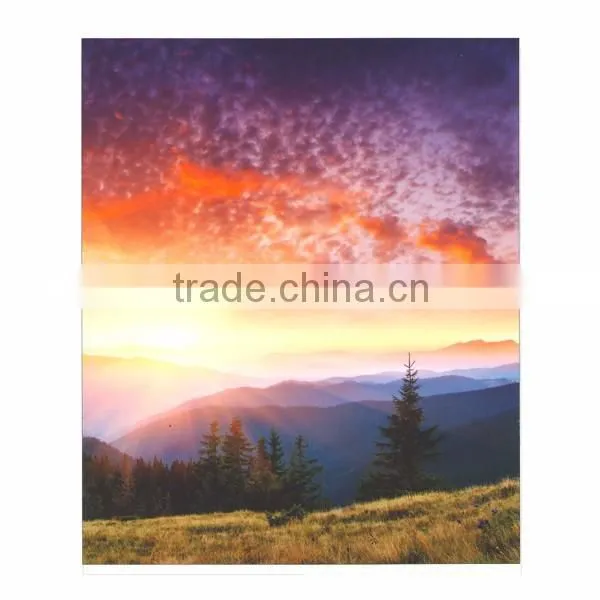 Microporous Coating 230mic Decorative pp Film Grade photo-4
