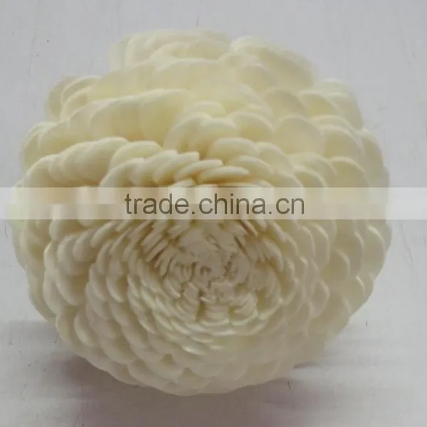 Sola Flower photo-5