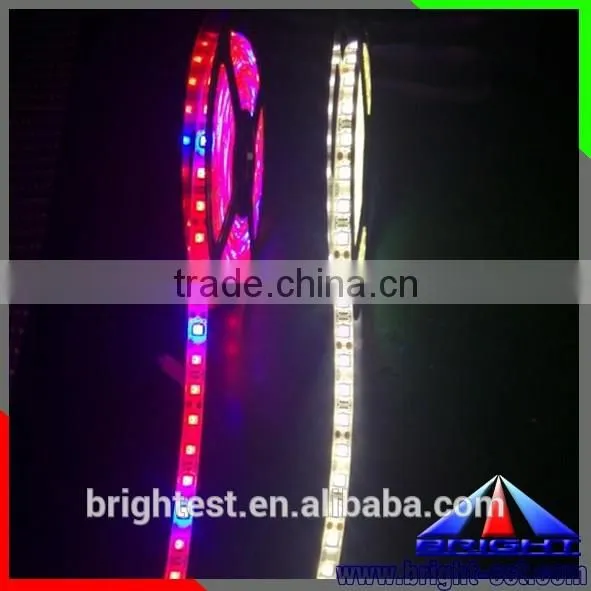Shenzhen LED Grow Light Strip12V DC,Ws2812 5050 Led Strip Led Plant Grow Light Strip photo-6