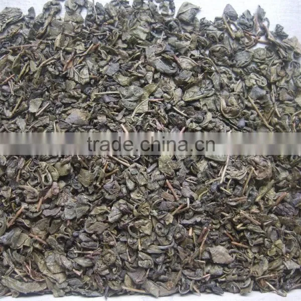 China Tea High Quality Best Selling Gunpowder Green Tea 9175