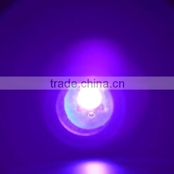 Profesional UV Flashlight With High Power 10W LED 390nm Wavelenght With Variable Focus for Urine Detection / Inspection photo-4