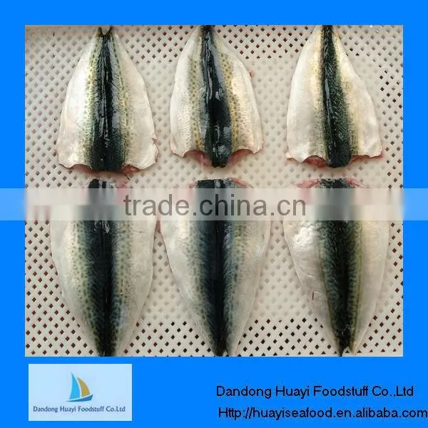 Frozen Mackerel Fillets