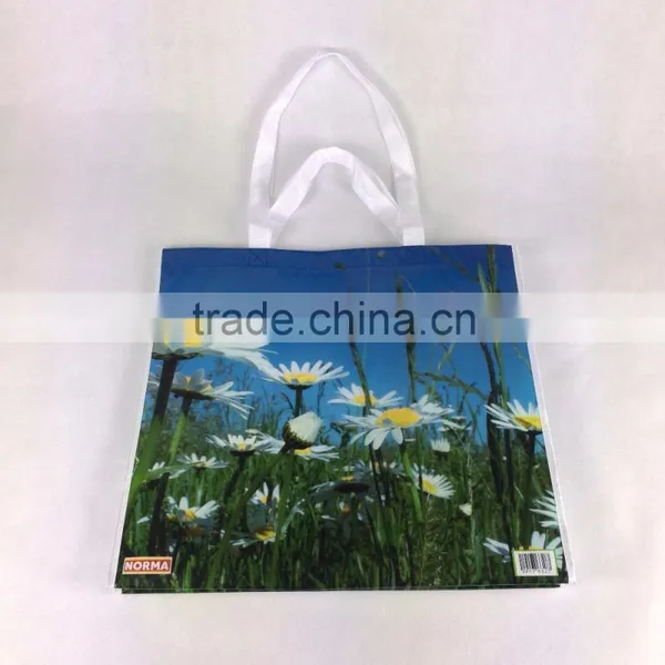 Lead Free Reusable NORMA RPET Shopping Bag photo-6
