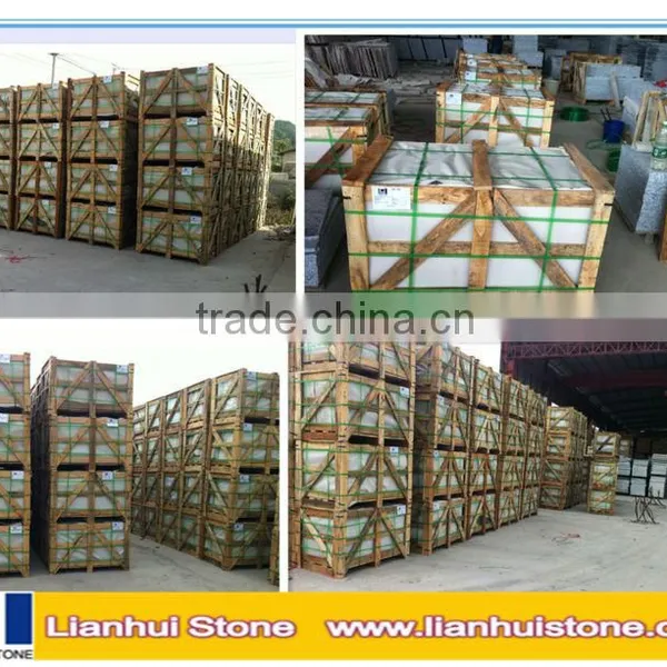 Seller Recommend White Fantasy Granite Brazil White Granite Tile photo-6