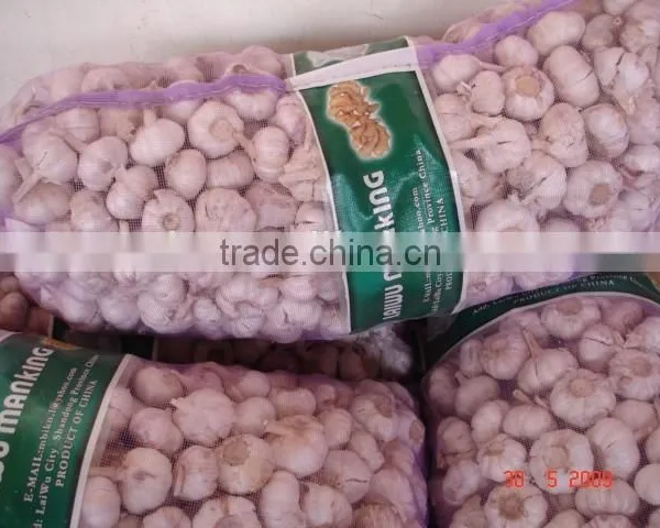 Chinese Normal Garlic photo-2