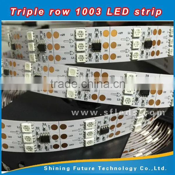 Decoration 5050 SMD 1003 ic Ouside Waterproof DC12V Addressable Triple Row Led Strip photo-2