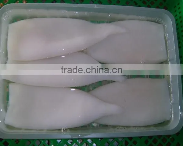 Illex Squid Tube photo-3