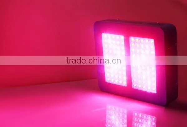 500w Led Grow Light 12 Band Led Grow Lights 5w Chip photo-5
