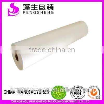 BOPP+EVA Type and Moisture Proof Plastic Printing Plastic Pet Film Roll photo-2